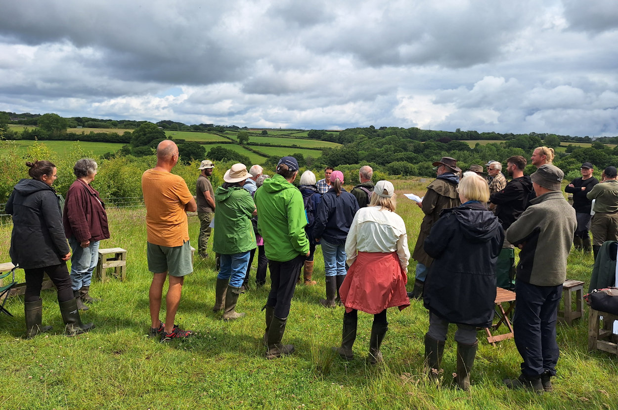 Roborough Our Rewilding Project Open Day 2025 - Roborough Rewilders