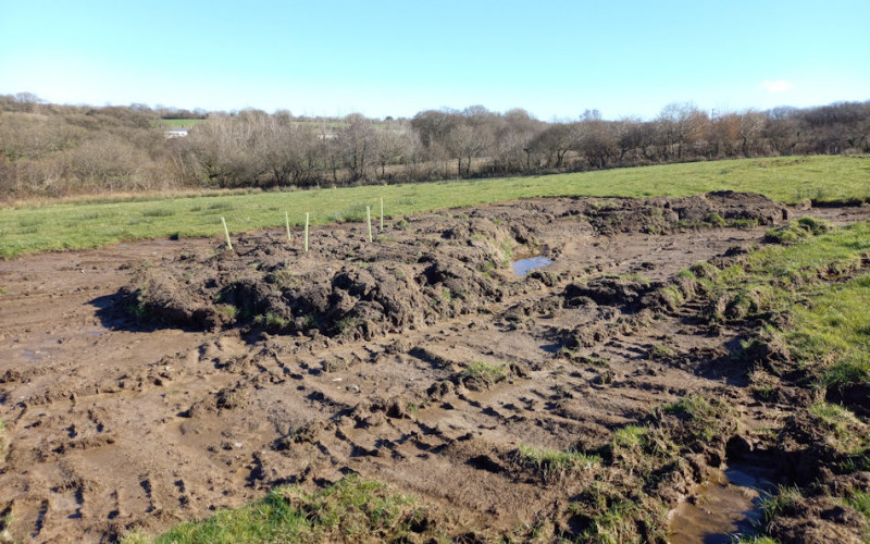 a heavily scraped area of turf with standing water, and green field beyond