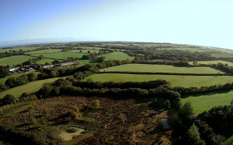 Our aim is to gain access to more land in order to expand the project, and also to help other people to bring a bit more ‘wild’ back into their land. Aerial view of the back field of the project with the ponds showing, it is surrounded by tree lined field boundaries, and grass pasture land