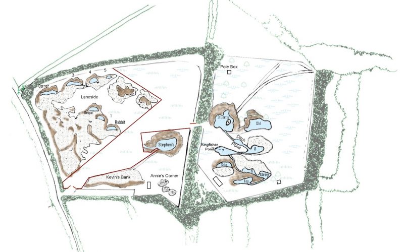 Since then, we have done some fencing and seeding, brought in brash, rubble and dead wood plus introducing Shetland sheep, Tamworth pigs and Red Ruby Devon cattle as mob grazers. hand drawn plan of the two fields, showing the scrapes, banks and ponds